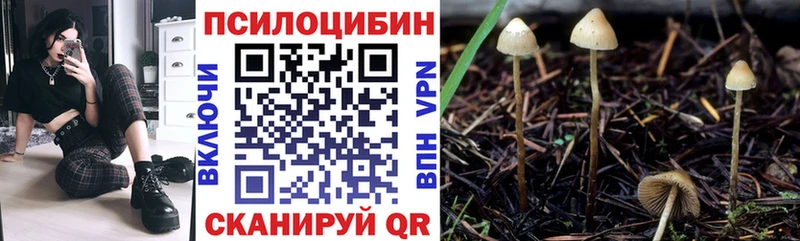 Псилоцибиновые грибы Magic Shrooms  ОМГ ОМГ ТОР  Лабытнанги 