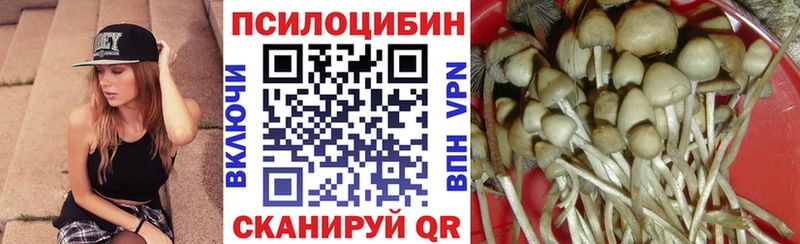 Галлюциногенные грибы Psilocybine cubensis Лабытнанги