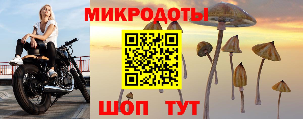 Лабытнанги  Псилоцибиновые грибы Magic Shrooms  цена наркотик  Вход с VPN 